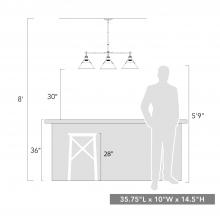 3306-LP AB-DB_scale.jpg